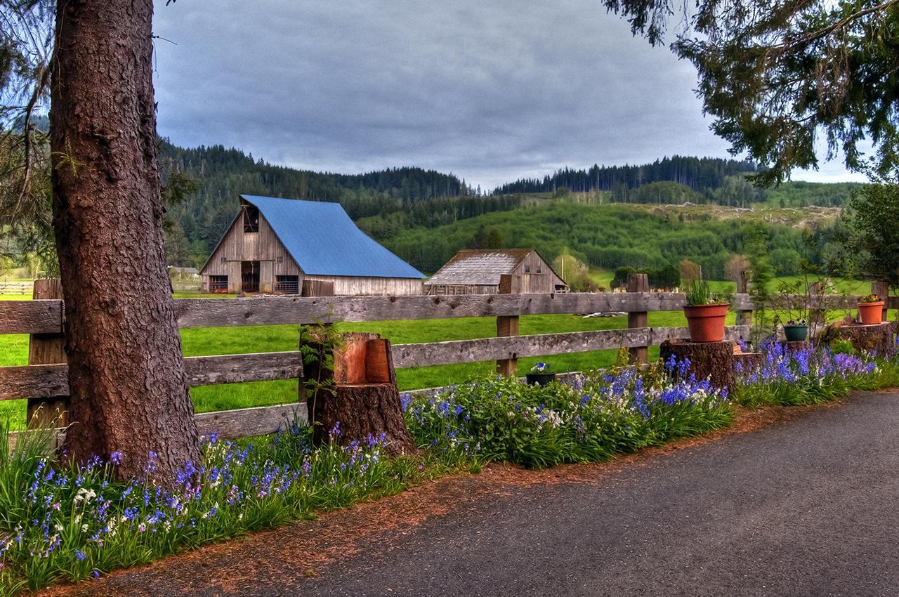 Miller Tree Inn Forks Exterior photo